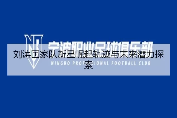 刘涛国家队新星崛起轨迹与未来潜力探索