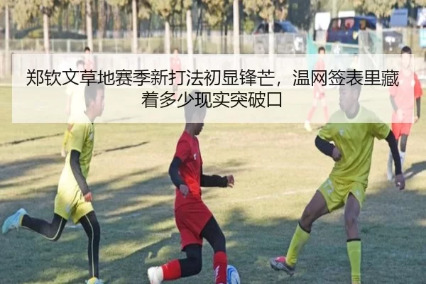 郑钦文草地赛季新打法初显锋芒，温网签表里藏着多少现实突破口